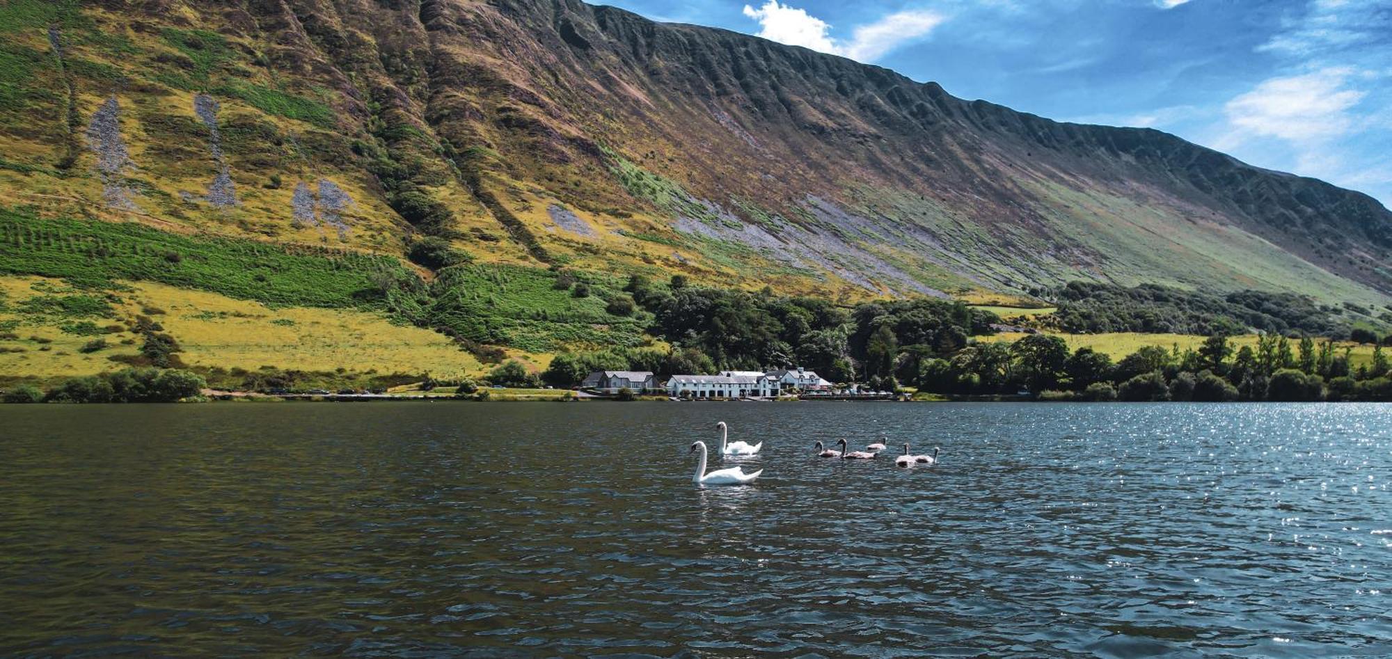 Tynycornel Hotel Tal-y-llyn Exterior photo